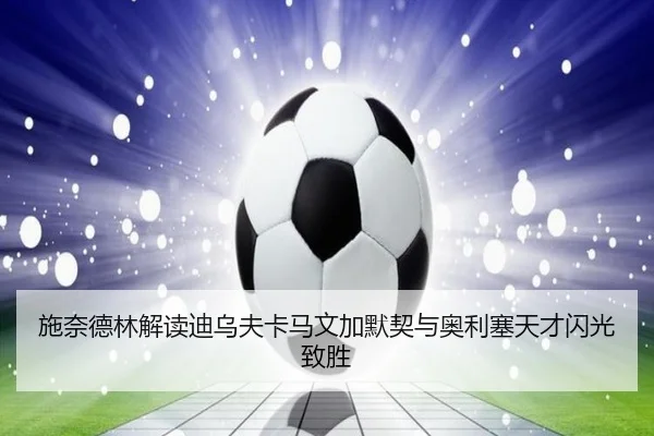 施奈德林解读迪乌夫卡马文加默契与奥利塞天才闪光致胜